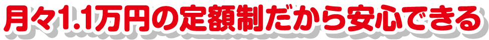 月々1.1万円の定額制だから安心できる